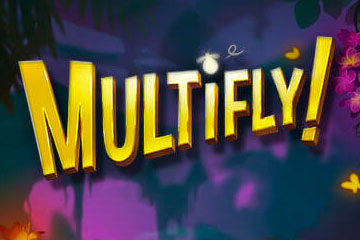 MultiFly!